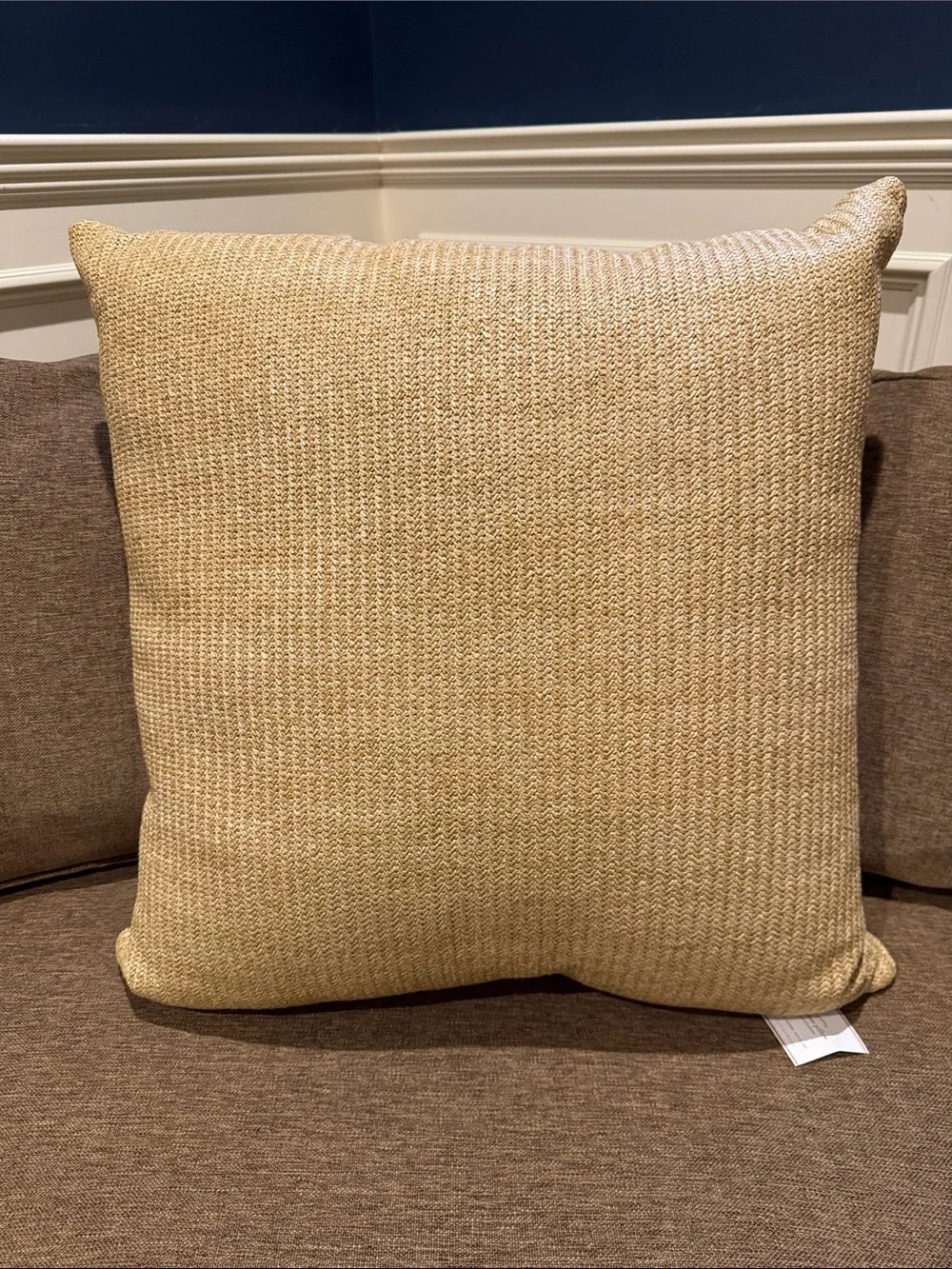 NWT POTTERY BARN Natural Fiber Pillows
